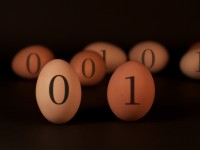 Wystawa fotografii - egzamin Visual Arts 2012 / Photography Exhibition - Visual Arts Exam 2012