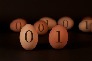 Wystawa fotografii - egzamin Visual Arts 2012 / Photography Exhibition - Visual Arts Exam 2012