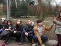 ZOO 06.2015 - kl. preIB