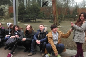 ZOO 06.2015 - kl. preIB