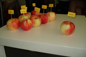 Rozpoczęcie roku szkolnego 2016/2017