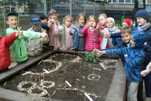 Eko-skrzynia klasy 2b