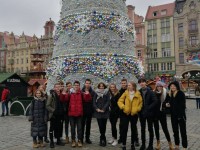 KARP W WANNIE I ZIELONE POMARAŃCZE