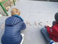 Klasa 5a - Literackie podchody