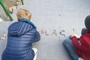 Klasa 5a - Literackie podchody