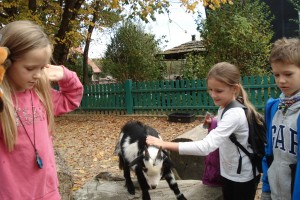 Klasa 3 - Wycieczka do ZOO