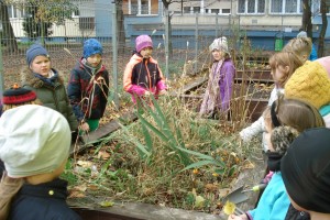 Klasa 3 - Jesienne prace w ogrodzie