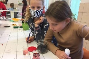 PROJEKTY EKOLOGICZNE