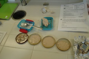 Klasa 2b - Eksperymenty: Co jedzą drożdże?