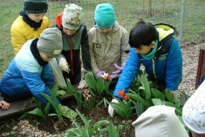 Klasa 2b - wiosenne prace w eko-skrzyni