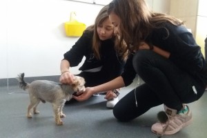 Klasa 6b - lekcja j. polskiego: przyjaźń i zaufanie