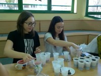 Śniadanie daje moc 2016 / Breakfast Gives Power 2016