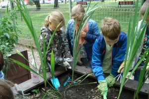 Klasa 3b - porządki w ekoskrzyni