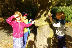 Klasa 3a - mierzenie drzew