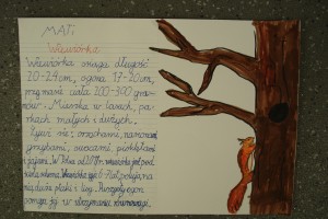 Klasa 2b - Zwierzęta leśne