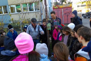 Sadzimy drzewo - kl. 3