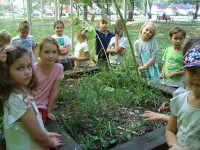 Klasa 2 - EKO-tydzień