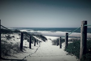 Galeria fotografii Zosi Kurek, kl. 2