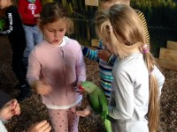 Klasa 2 - Dzień Chłopaka w Papugarni