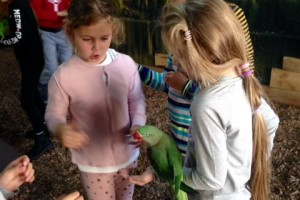 Klasa 2 - Dzień Chłopaka w Papugarni