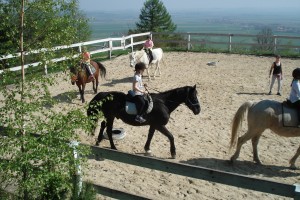 Klasy 1-3 - Zielona Szkoła w Srebrnej Górze