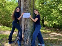 PAŹDZIERNIKOWY DZIEŃ DRZEWA